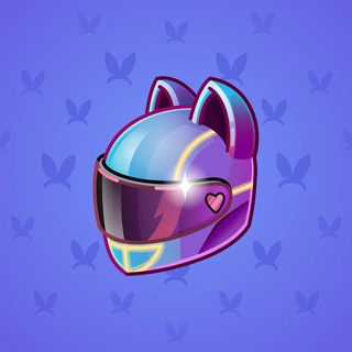 Neko Helmet #1966