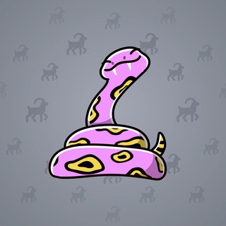 Pet Snake #22440