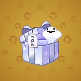 Snake Box #14964
