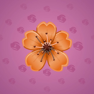 Sakura Flower #50870