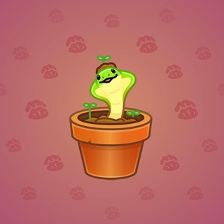 Snake Box #108178