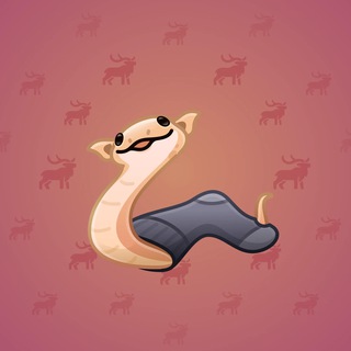Pet Snake #97323