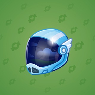 Neko Helmet #8270