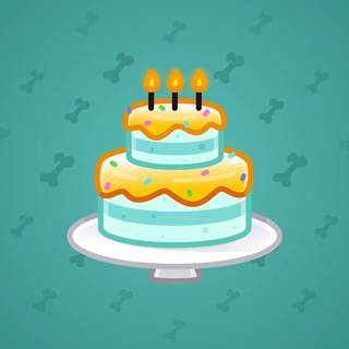 Homemade Cake #12954