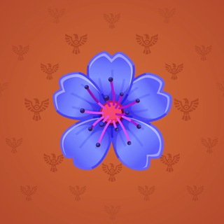 Sakura Flower #84800