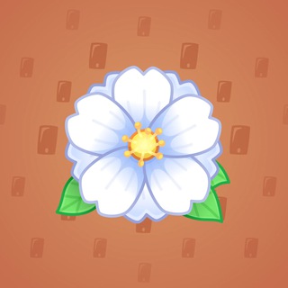Sakura Flower #31712