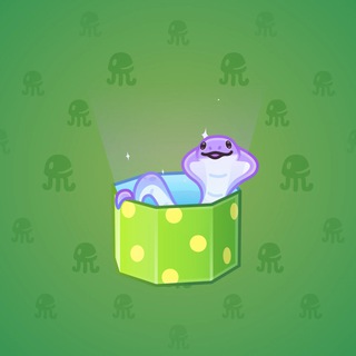 Snake Box #100526