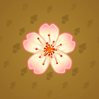 Sakura Flower #12714