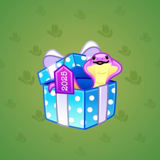 Snake Box #61757