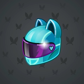 Neko Helmet #4245
