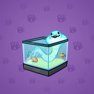 Snake Box #10114