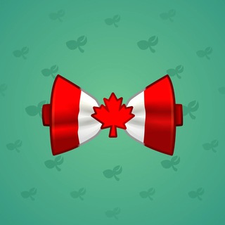 Bow Tie #30659