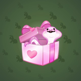 Snake Box #103218