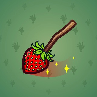 Flying Broom #20834