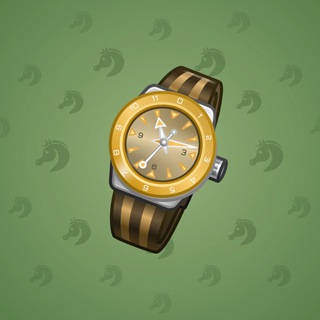 Swiss Watch #6905