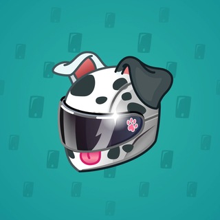 Dalmatian
