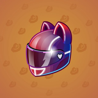 Neko Helmet #6301