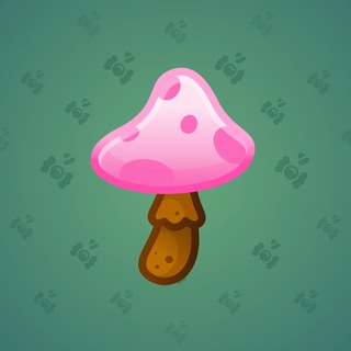Spy Agaric #11562