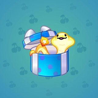 Snake Box #125245