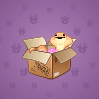 Snake Box #41083