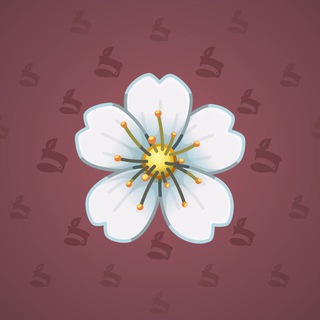 Sakura Flower #84712